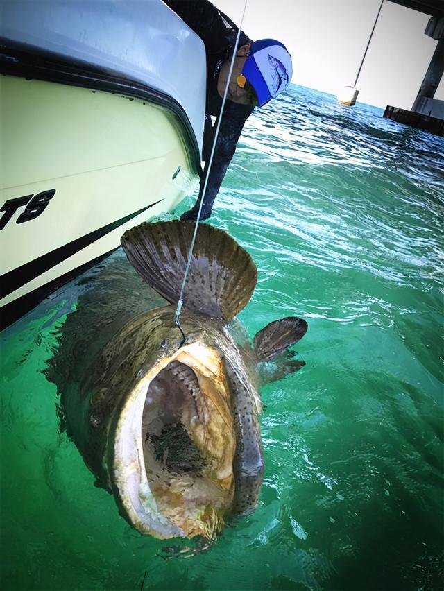 20-piece Set 13g 35g Surface Fishing Lure Set 20 Pop-up Lures With 3D Eyes ABS Plastic Hard Bait For Bass And Pike Fishing