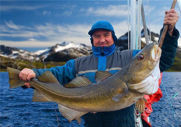 20-piece Set 13g 35g Surface Fishing Lure Set 20 Pop-up Lures With 3D Eyes ABS Plastic Hard Bait For Bass And Pike Fishing